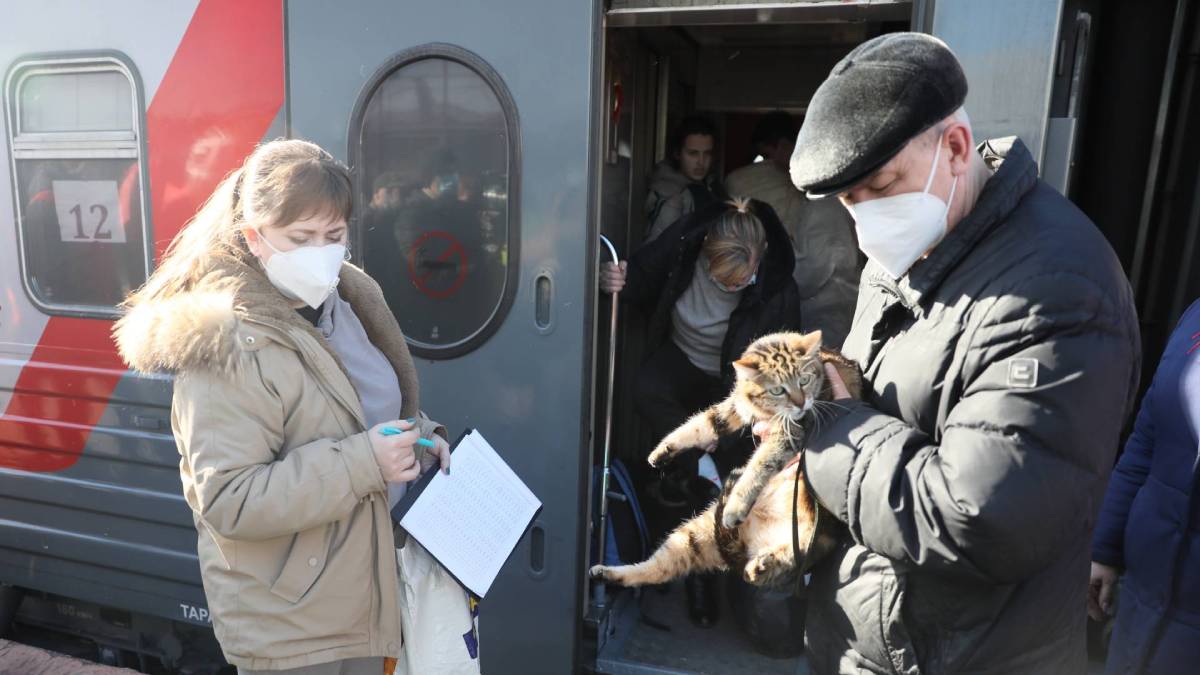 Люди приехали с домашними питомцами