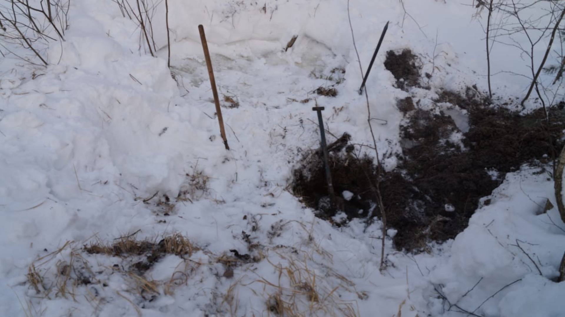 Явившийся с повинной показал, где закопал тело