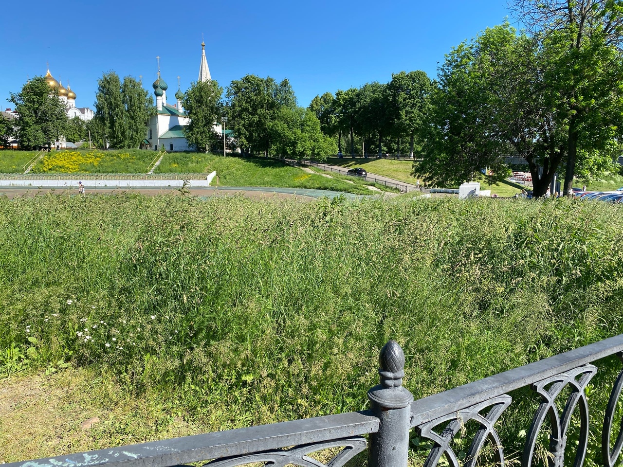 поля15061