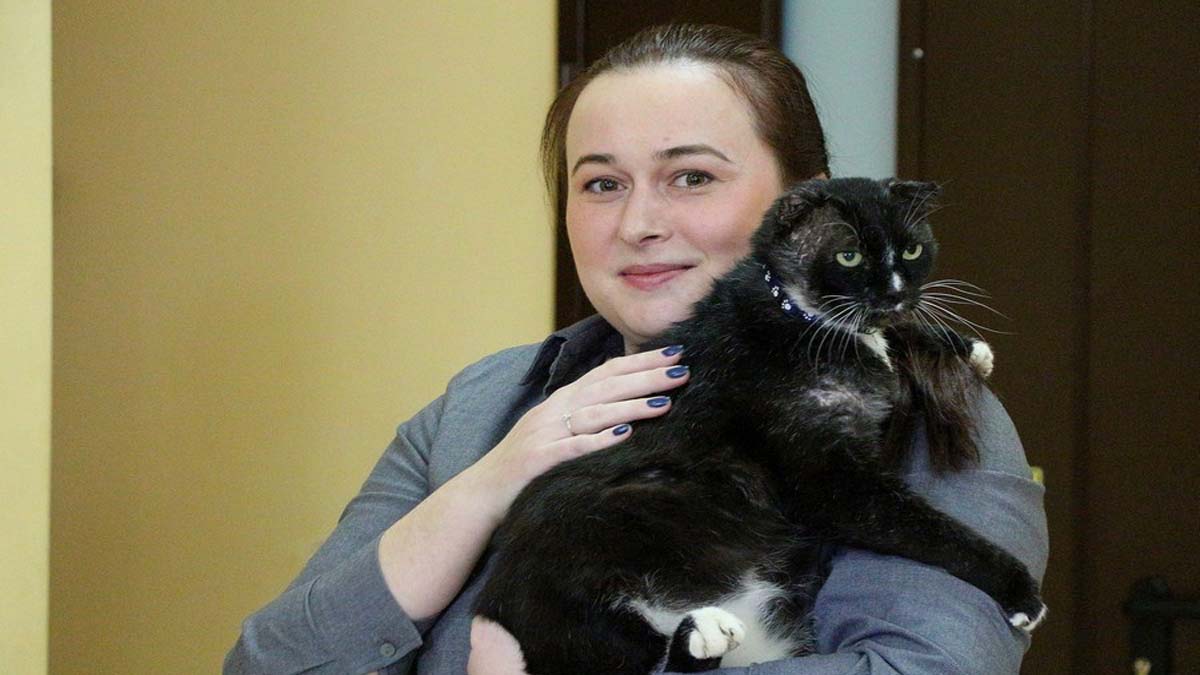 В рыбинскую библиотеку приняли на работу кота