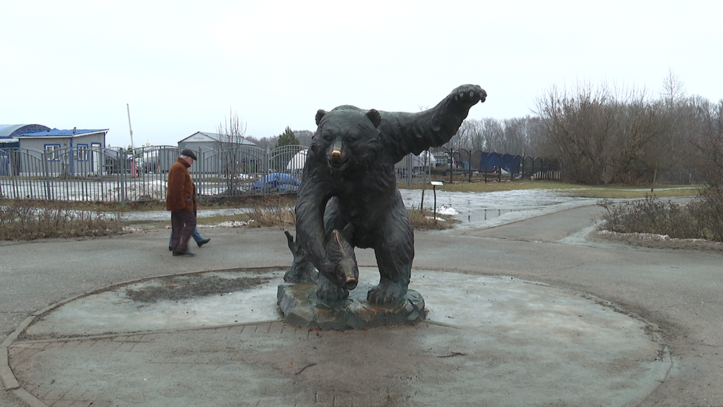 медведь в парке 1000