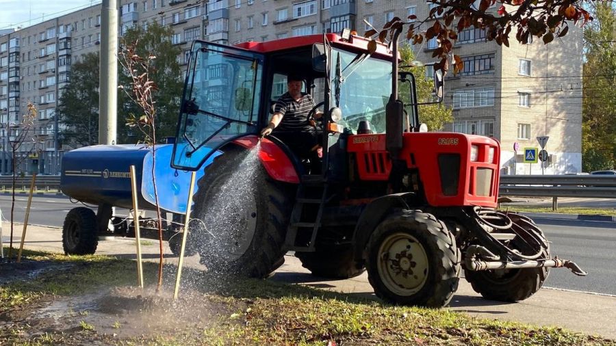 На Московском проспекте в Ярославле высадили яблони