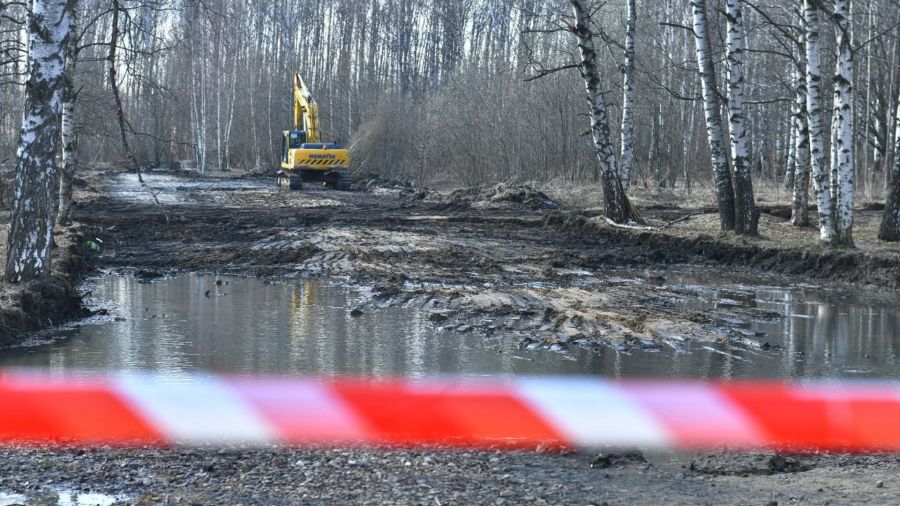 На пруду в парке Судостроителей построят пирс