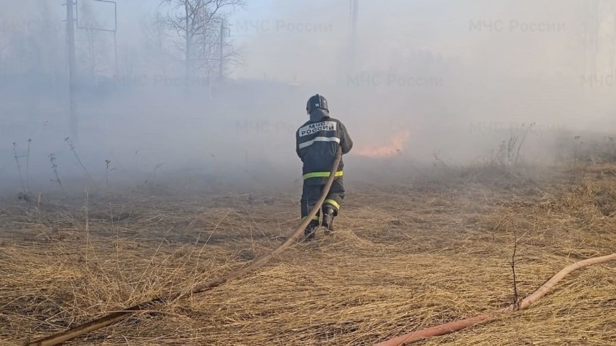 За минувшие сутки в Ярославской области зарегистрировали 39 случаев горения сухой травы