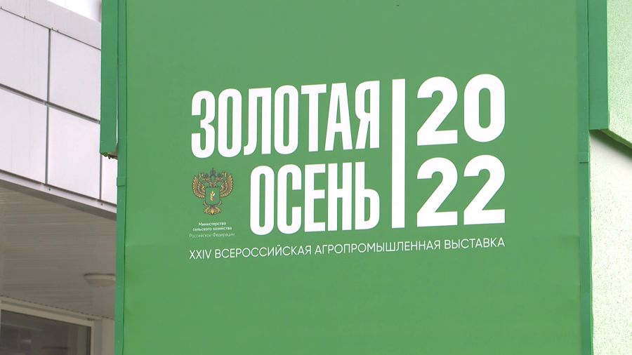 Делегация Ярославской области участвует во всероссийской выставке «Золотая осень»