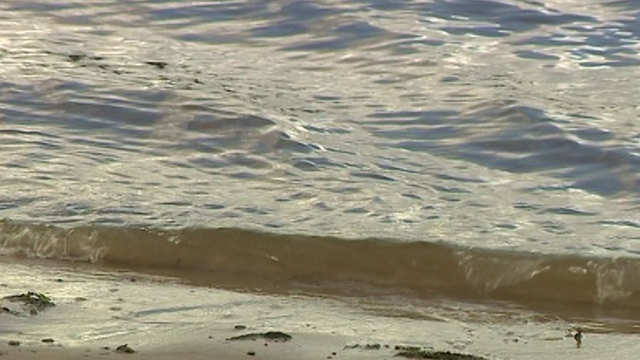 В Ярославской области появились 8 новых водоохранных зон