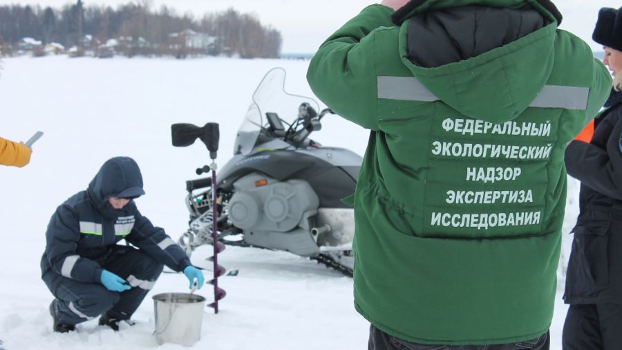 Специалисты взяли пробы вдоль берега Рыбинского водохранилища