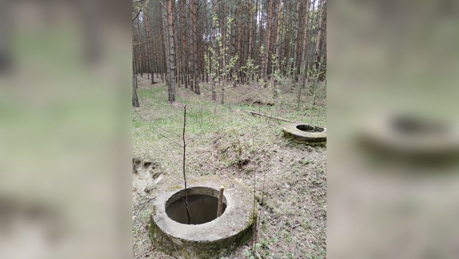 В Тверицком бору в Ярославле местные жители обнаружили открытые колодцы