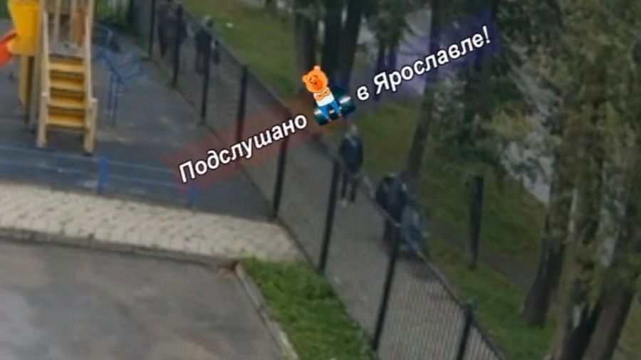 В Ярославле задержали напавшего на пенсионерку мужчину