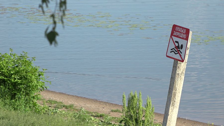 В Ярославле запретили купаться на участке берега в Тверицах