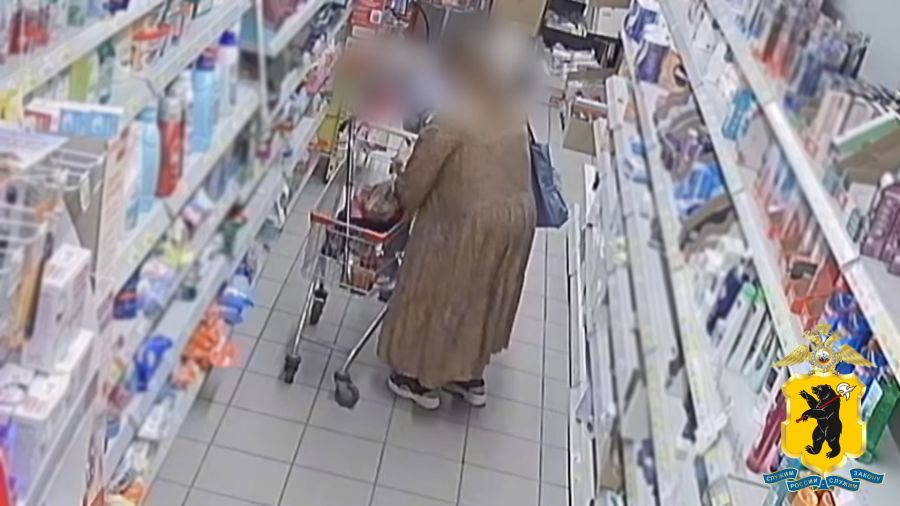 Ярославна похищала кошельки у пожилых посетителей магазинов