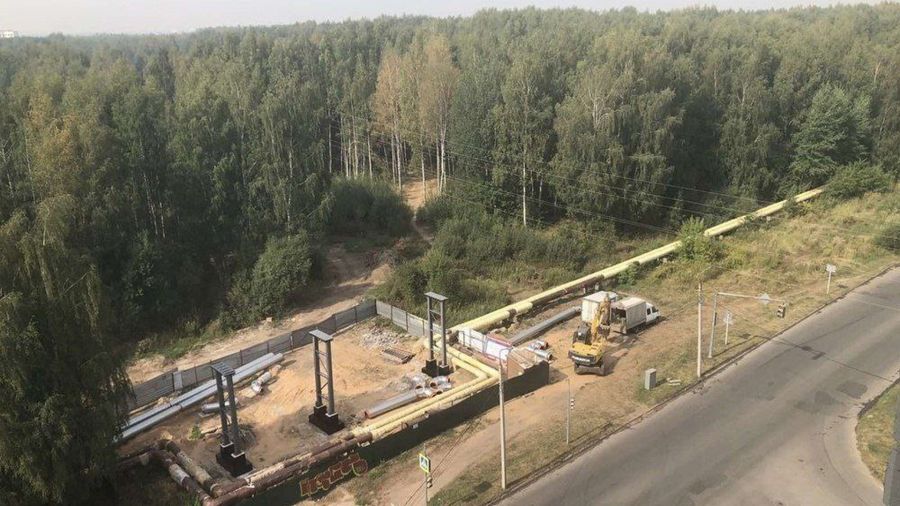 Скандально известный участок под застройку в березовой роще Заволжского района Ярославля вернулся в собственность города