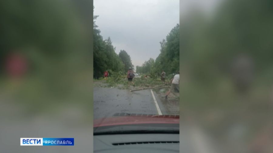 В Ярославской области бушевала непогода