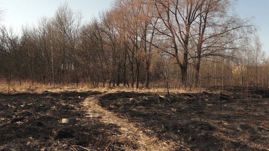 В регионе произошли 33 пожара из-за палов травы