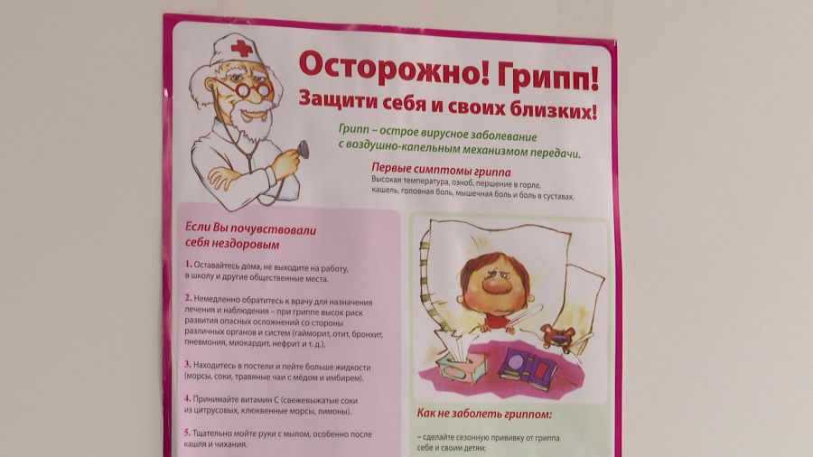 В Ярославской области запустили горячую линию по вопросам профилактики гриппа и ОРВИ