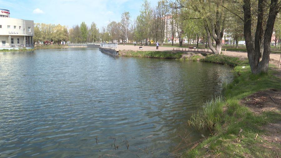 Освещение в парке 30-летия Победы в Ярославле появится осенью