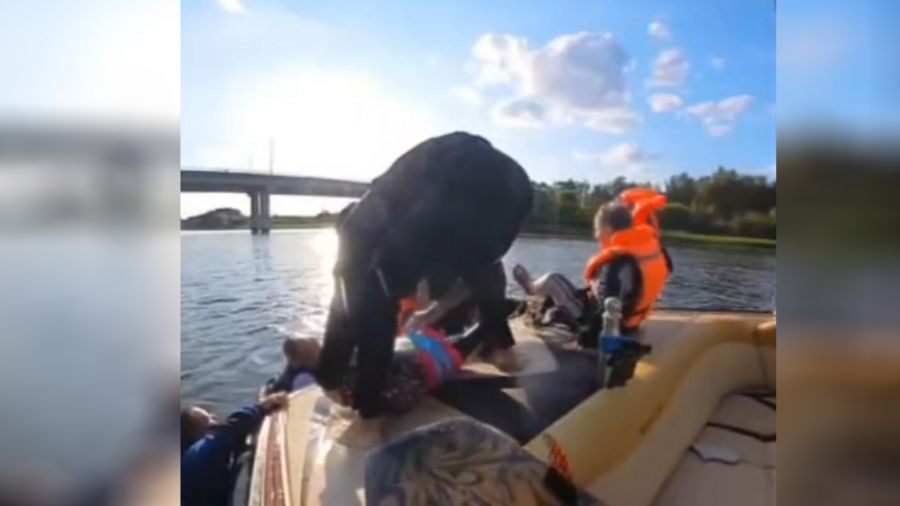 В Ярославле спасли ребенка из воды