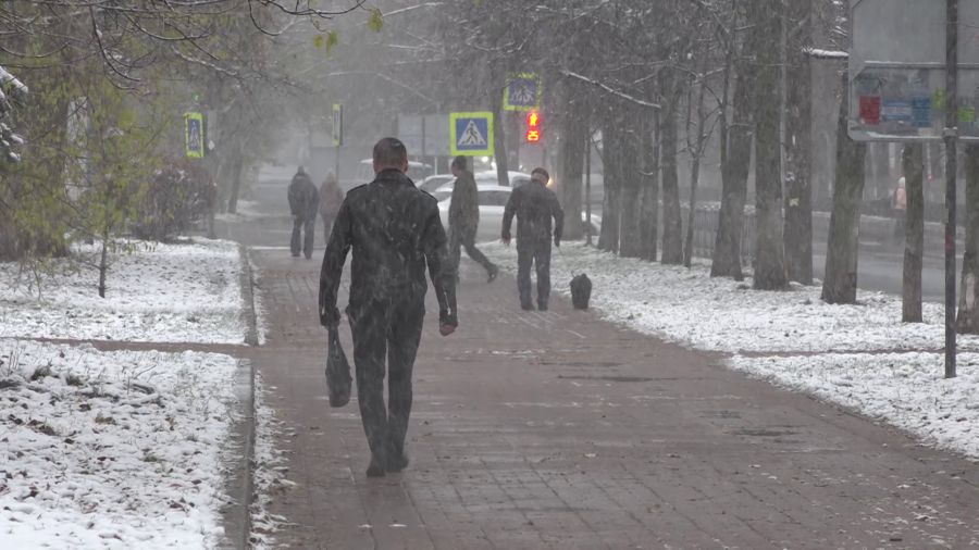 В Ярославской области продолжатся снегопады