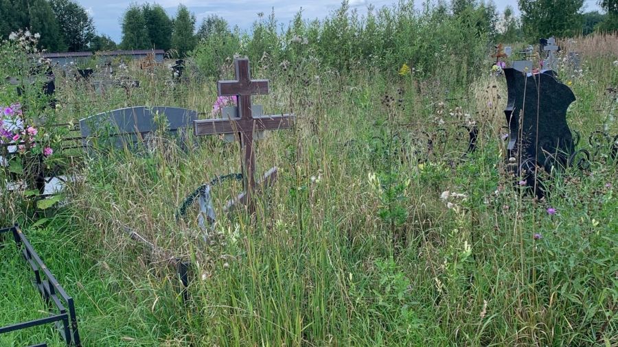 Кладбище у деревни Селифонтово под Ярославлем заросло травой