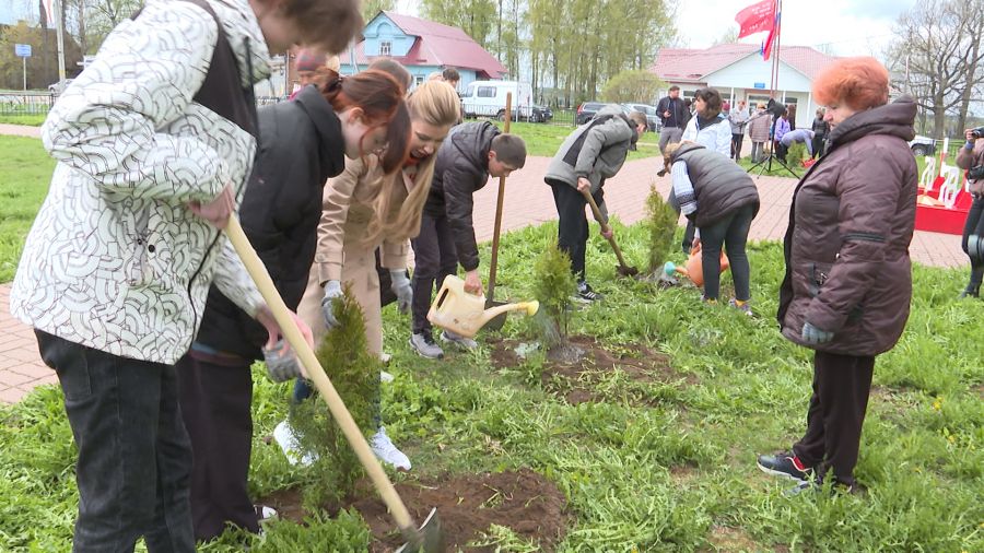 В селе Глебово Рыбинского района высадили «Аллею памяти» в канун 78-ой годовщины Победы