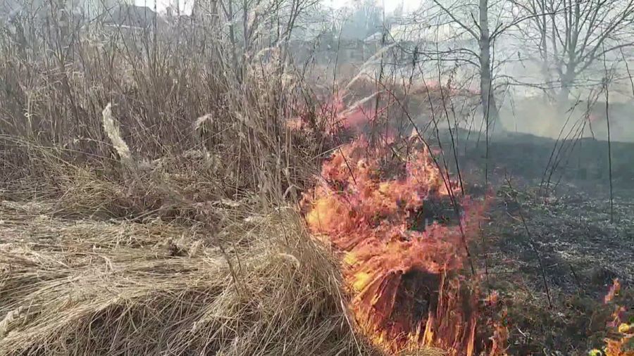 Фото: скрин с видео ГТРК «Ярославия»