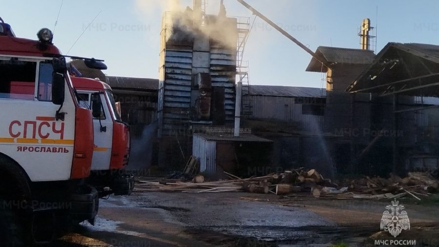 В деревне под Ярославлем сгорело 15 тонн овса