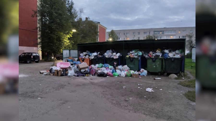 Мусоровозам не подъехать: в центре Ярославля контейнерная площадка превратилась в свалку