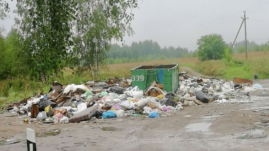 Жители Некрасовского округа пожаловались на свалку рядом с амбулаторией