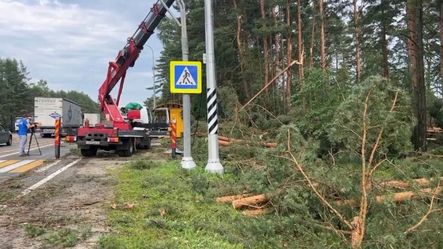 В Ярославском районе устраняют последствия урагана