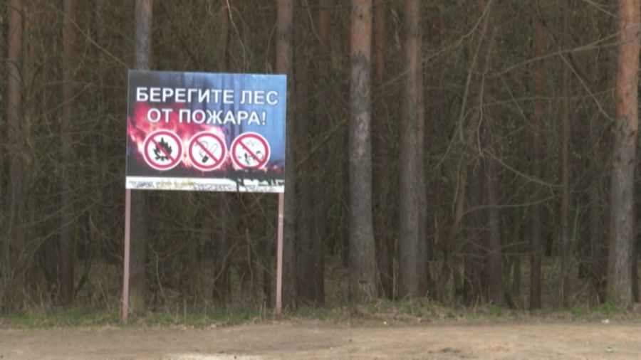 В Ярославской области ожидается высокая пожароопасность