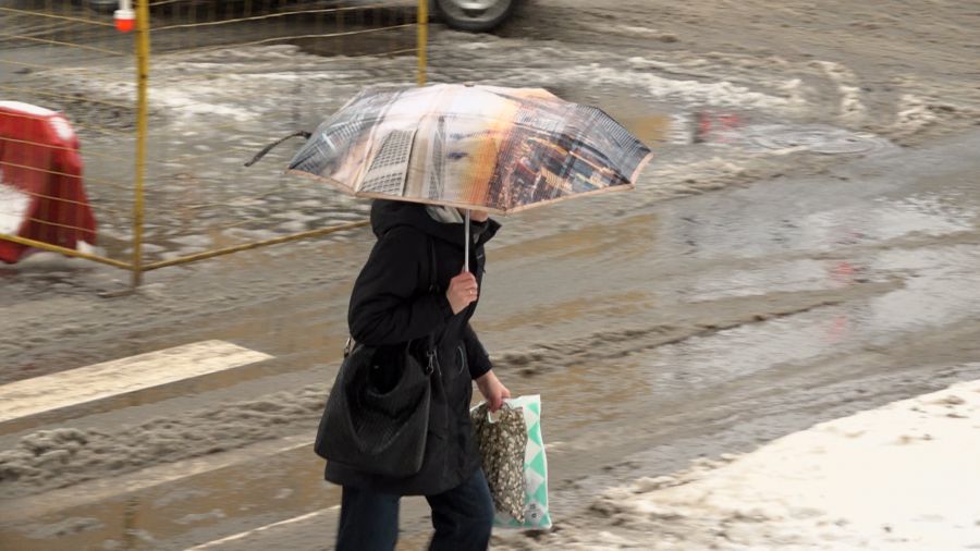 На Ярославль обрушилась непогода: последствия ледяного дождя