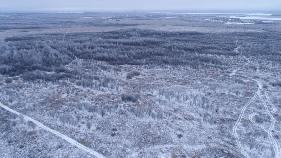 В Даниловском районе Ярославской области зарастают сельскохозяйственные угодья