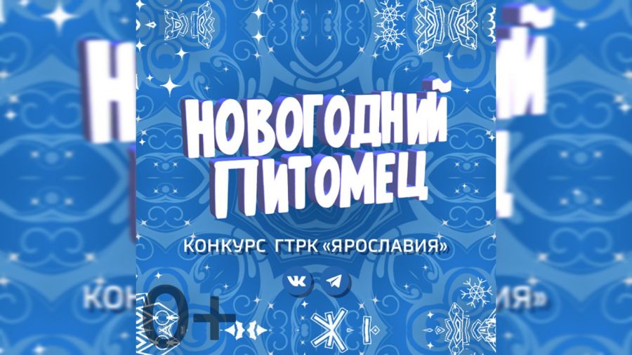 ГТРК "Ярославия" проводит конкурс "Новогодний питомец"