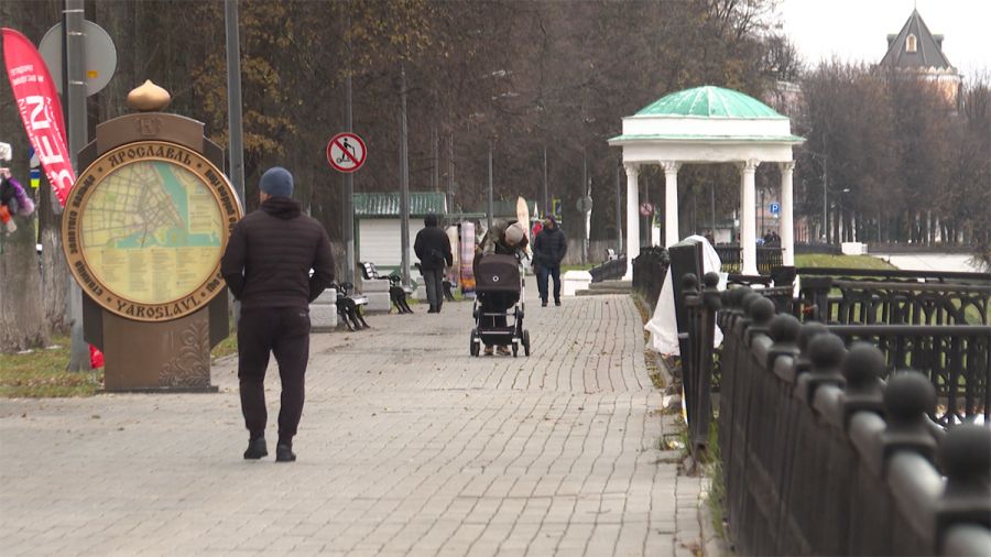 Жители Ярославской области стали чаще страховать свои жизни и здоровье