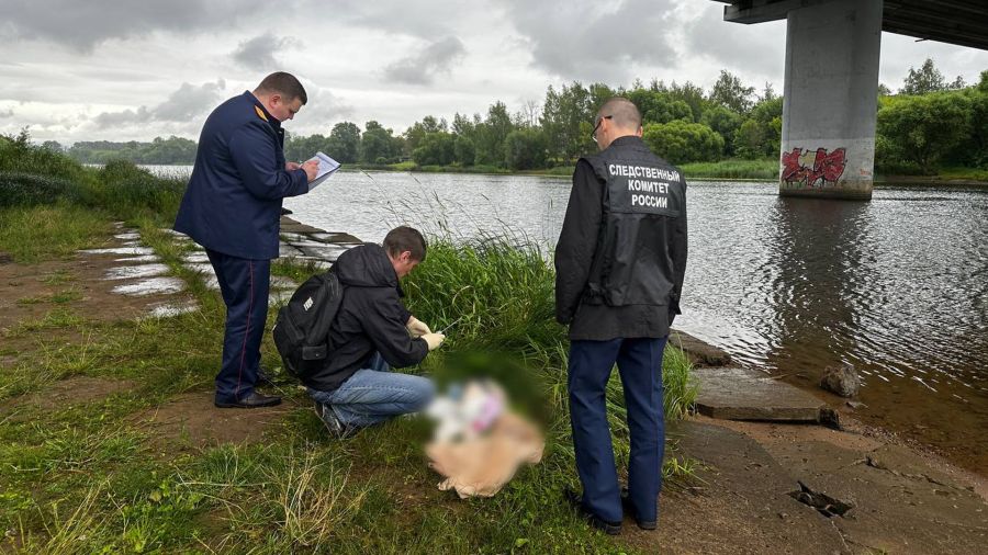 Ярославна подозревается в убийстве своего 10-месячного ребенка