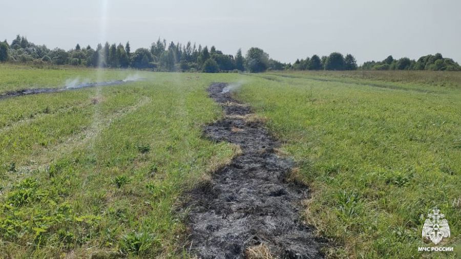В Ярославской области поджигателю травы грозит штраф в 10 000 рублей