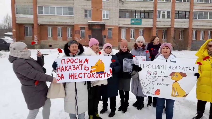 В Ярославской области состоялось очередное судебное заседание по делу об убийстве бездомной собаки