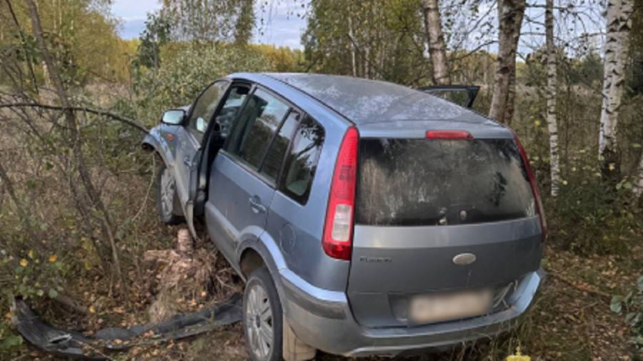 В Ярославской области автомобиль съехал в кювет, водитель погиб