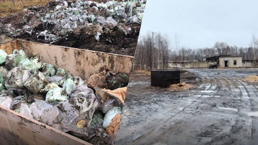 В Ярославском районе на месте свалки с опасными химическими отходами остались незавершенные работы