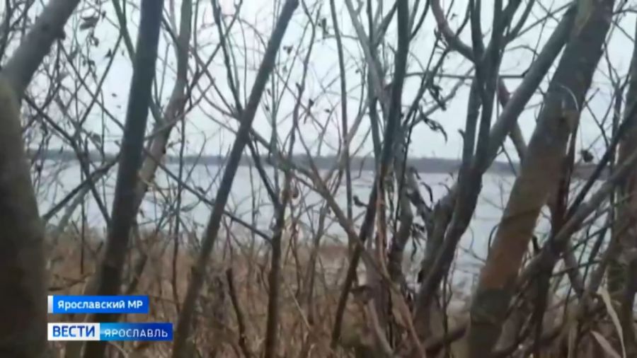 Двое мужчин погибли при буксировке катера в Ярославской области