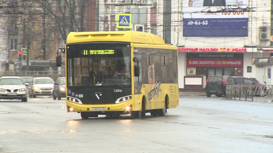 Новые желтые автобусы сегодня выходят еще на несколько маршрутов Ярославля и района