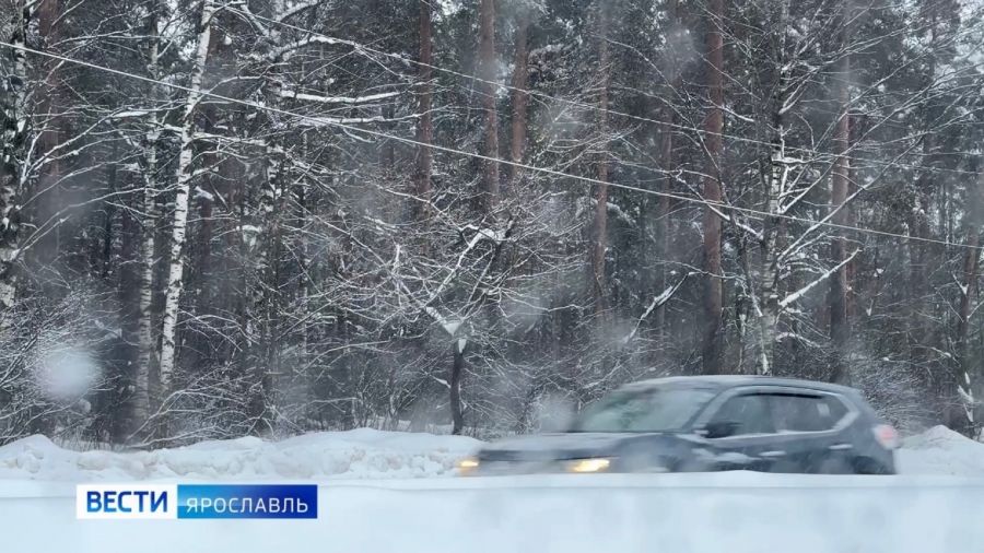 В Ярославской области сохранится непогода: жителей предупреждают о снегопаде и метели