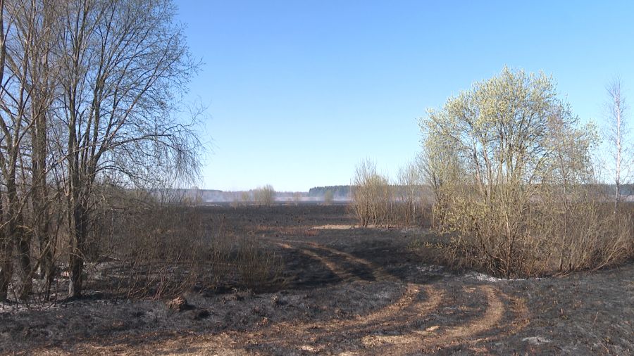 В Ярославской области объявили пожароопасный сезон