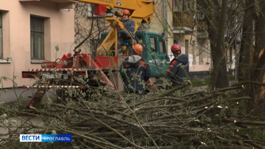 Ярославцы столкнулись с последствиями сильного ветра