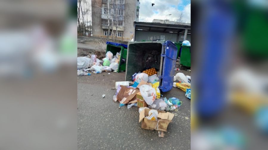 В Ростове вандалы переворачивают мусорные баки
