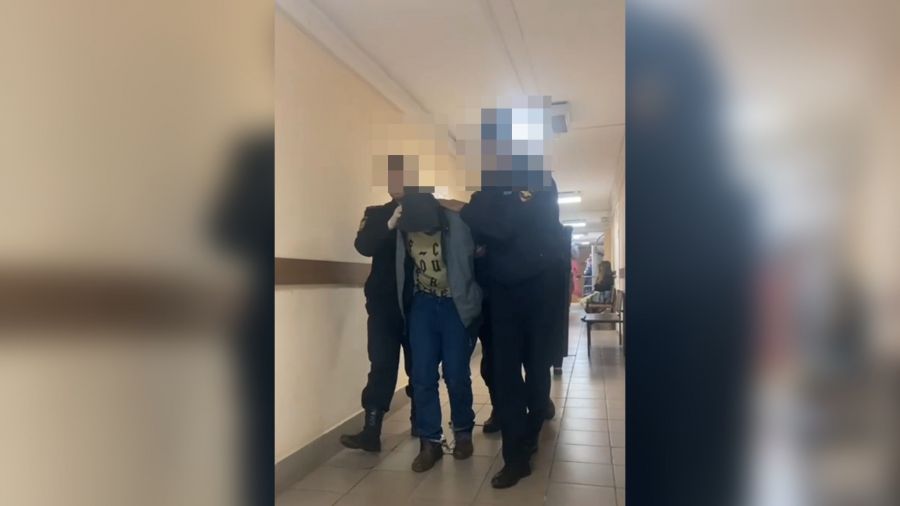 Дело о краже трех кенгуру из зоопарков Ярославской и Калужской областей передано в суд