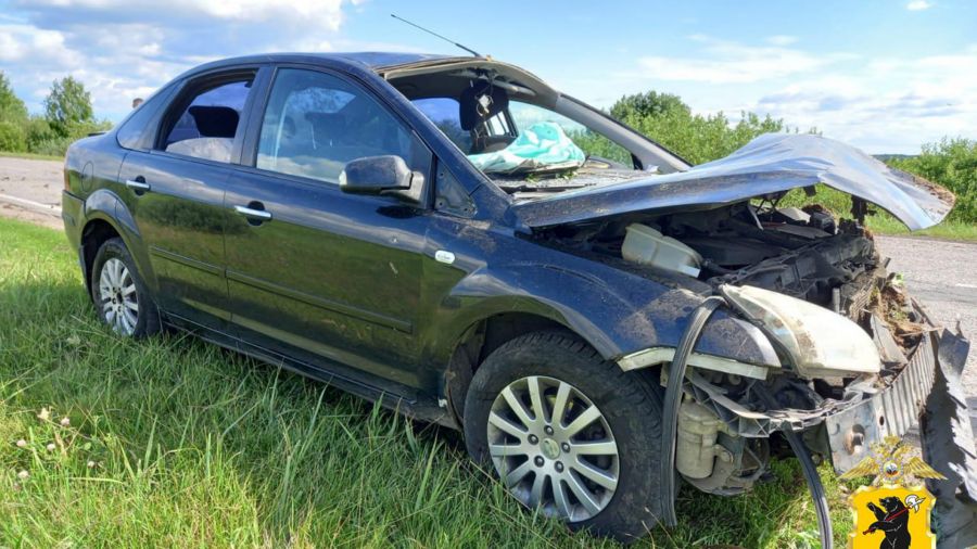 В &quot;пьяном&quot; ДТП в Любимском районе пострадали 9 человек