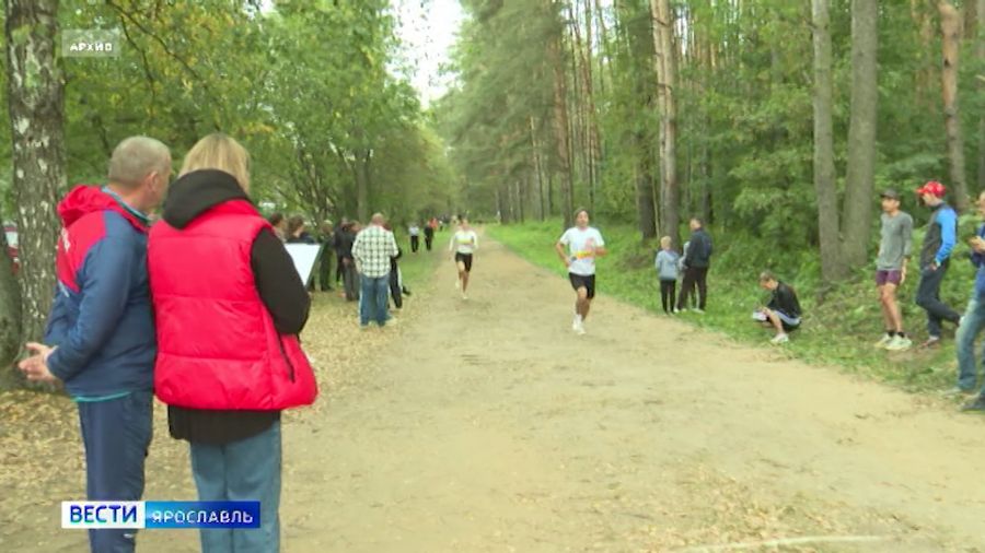 В Ярославле пройдет "Кросс нации"