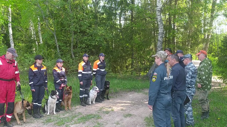 В Ярославской области впервые проходит аттестация кинологических расчетов спасательных подразделений