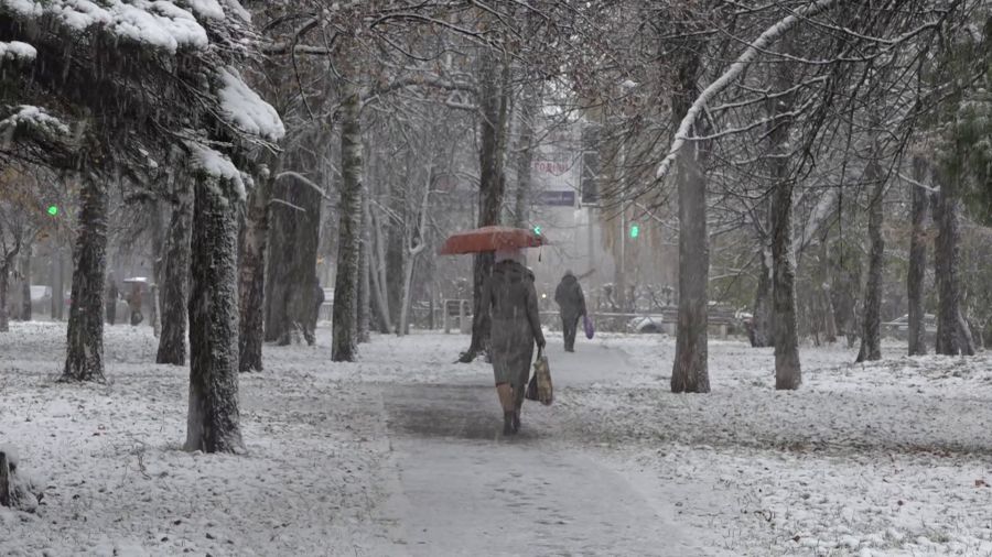 Ярославские энергетики готовятся к снегопаду
